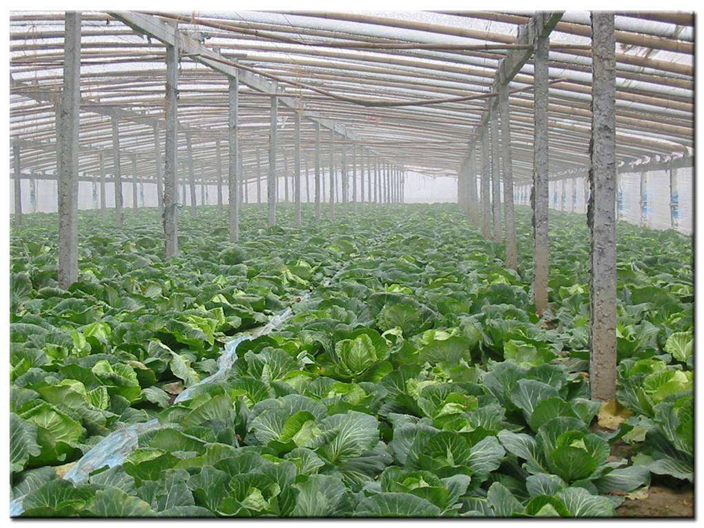 德瑞亞空壓機助力食品加工,節(jié)能無止盡 德瑞亞空壓機助力食品加工,節(jié)能無止盡